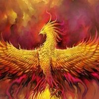 Phoenix family