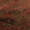 恋と深空 ～臨空市～