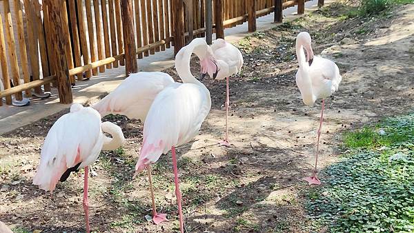 新竹動物園