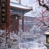 寒梅映雪❈古風宮廷