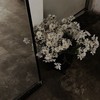 白線の内側で。