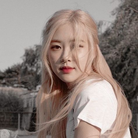 หมู่บ้าน Black Pink
