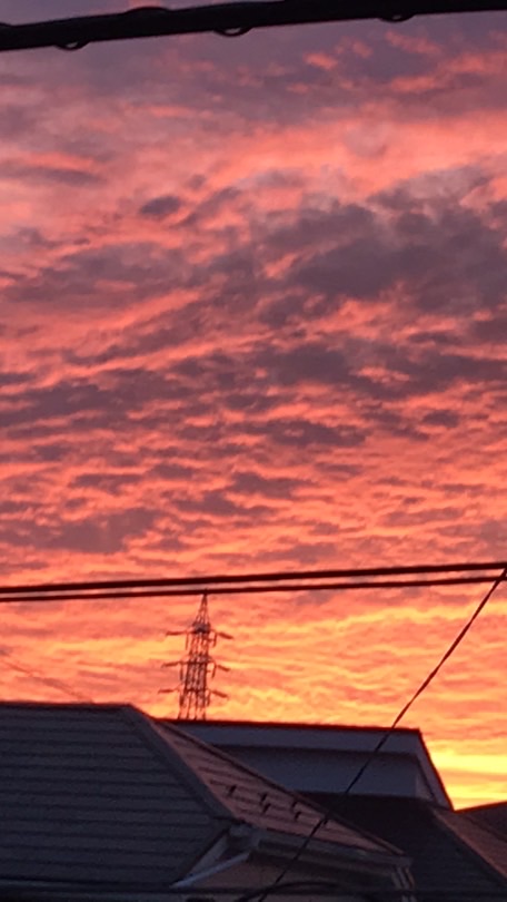 スクイーズってどこに売ってる？教えて〜！！