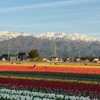 第26回北信越小学生ソフトテニスクラブ選手権