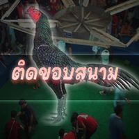 ติดขอบสนาม