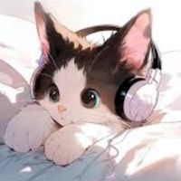 里親募集していて猫ちゃん🐾🐾が欲しい方の部屋猫ちゃん🐾🐾