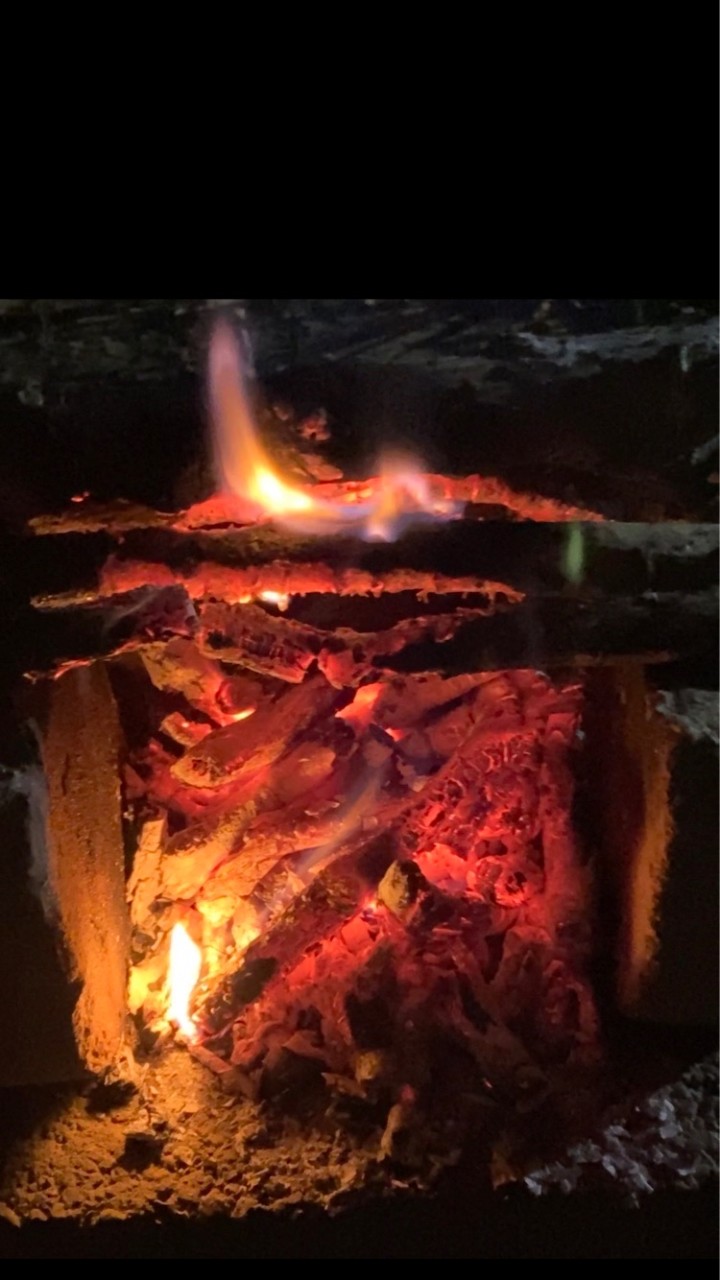 LNT野夫子揪露🏕️