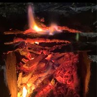 LNT野夫子揪露🏕️