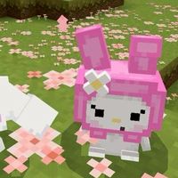 กลุ่มเคลมเกมby.Phet eiei🍎