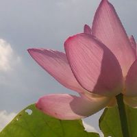 易經小學堂/卜卦/八字/紫微/風水/冥想/通靈