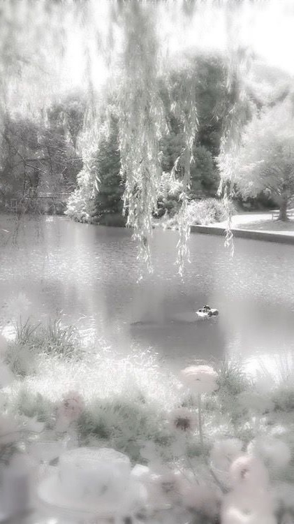文案館⸜(๑‘ᵕ‘๑)⸝*