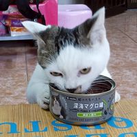 UL團。歡迎大家：）我蠻弱的不要嫌棄：）