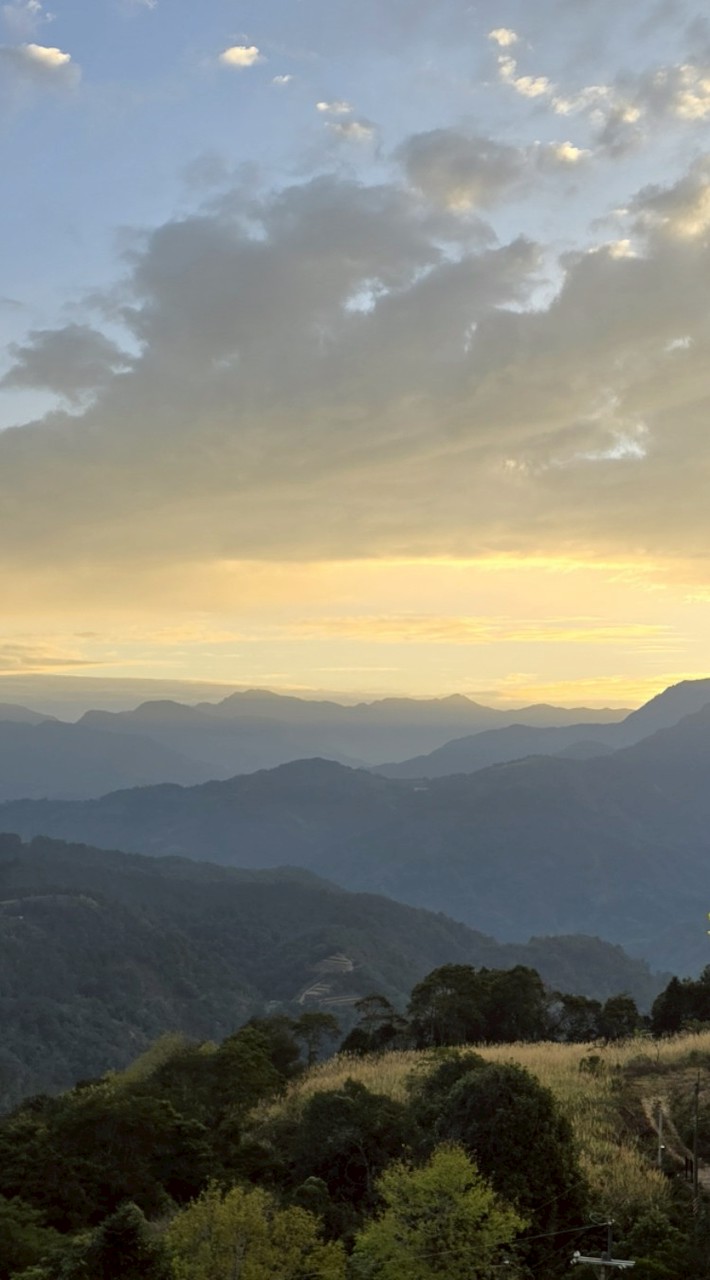 115-03-01武界雲海民宿