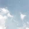 小､中の限定！