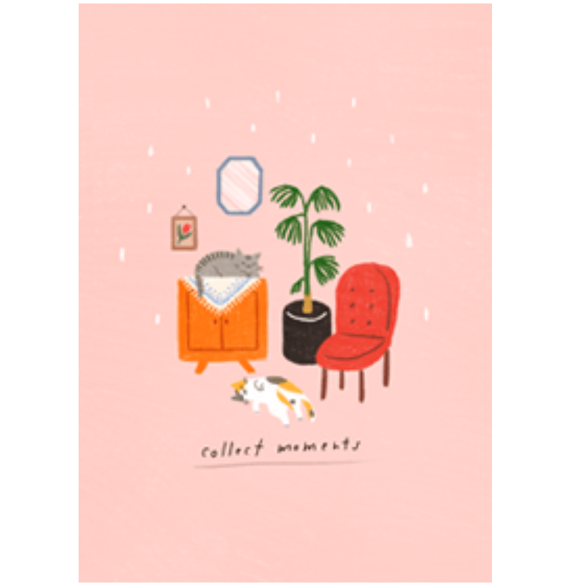 collect moments