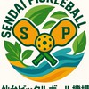 仙台ピックルボール機構