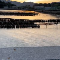 【未来の江田島市こども交流会】保護者様用