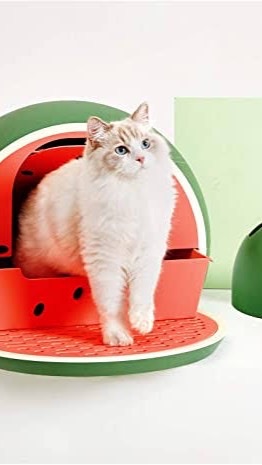 ซื้อ-ขาย อุปกรณ์ น้องแมว น้องหมา 🐈🦮🌵🌟