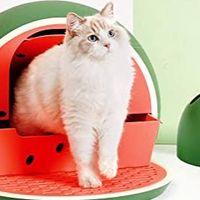 ซื้อ-ขาย อุปกรณ์ น้องแมว น้องหมา 🐈🦮🌵🌟