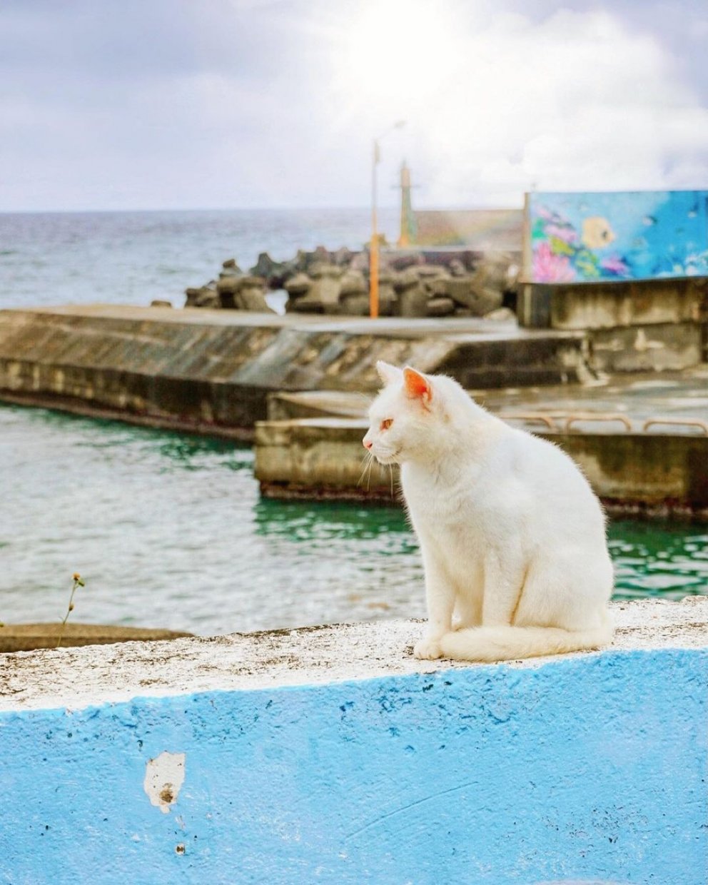 馬崗漁港 @jiying Tseng