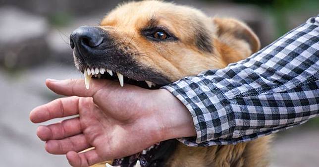 Kasian Gara Gara Digigit Anjing Rabies Pria Ini Jadi Bertingkah
