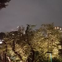 ¥北陸三県 車好き¥石川県、富山県、福井県 (𝕱𝖗𝖊𝖊𝖉𝖔𝖒 𝖍𝖔𝖔𝖓)フリーダムホーン