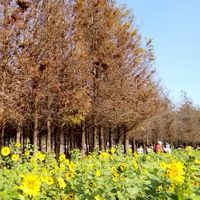 布告欄(CHTr高雄服務處)