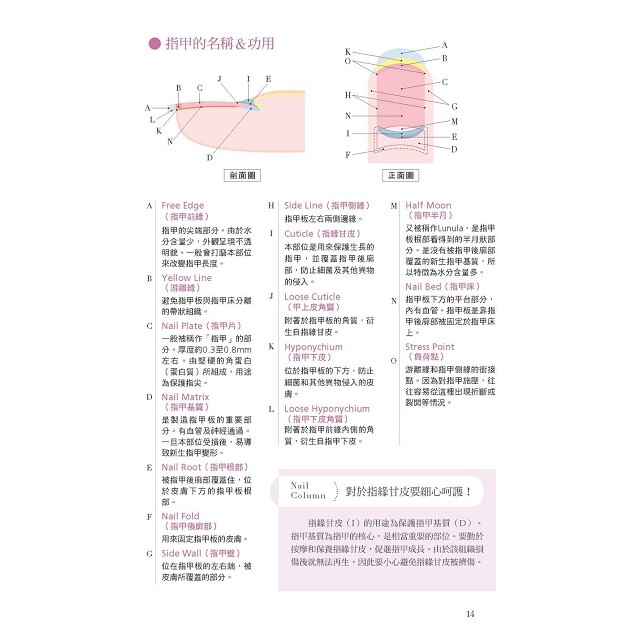自學OK！初學者的第一本美甲教科書(暢銷版)