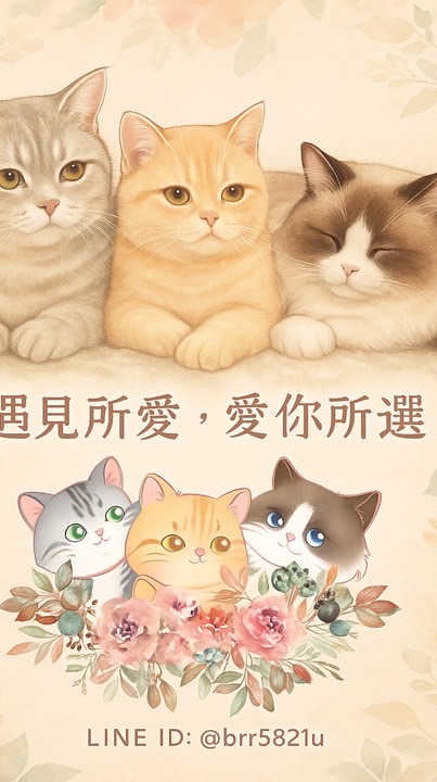 遇見毛孩生活館（新竹貓舍）