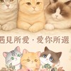 遇見毛孩生活館（新竹貓舍）