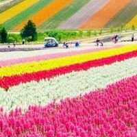 福島県☕*皆で元気を分かち合いましょう
