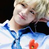 bot bts!