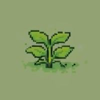 薬草🌿の話なんでも（健康系でも空想系でも）
