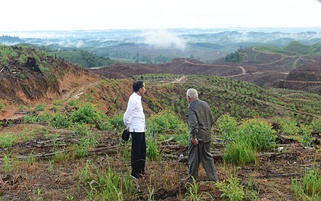 Environmentally Conscious Jokowi Wants To See Oxygen Rich Forests