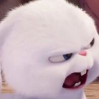 gonggang 🥕