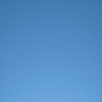 台灣爬蟲館