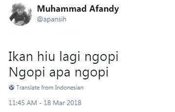 15 Pantun Jenaka Ikan Hiu Ini Langsung Bikin Harimu Ceria Kocak Deh