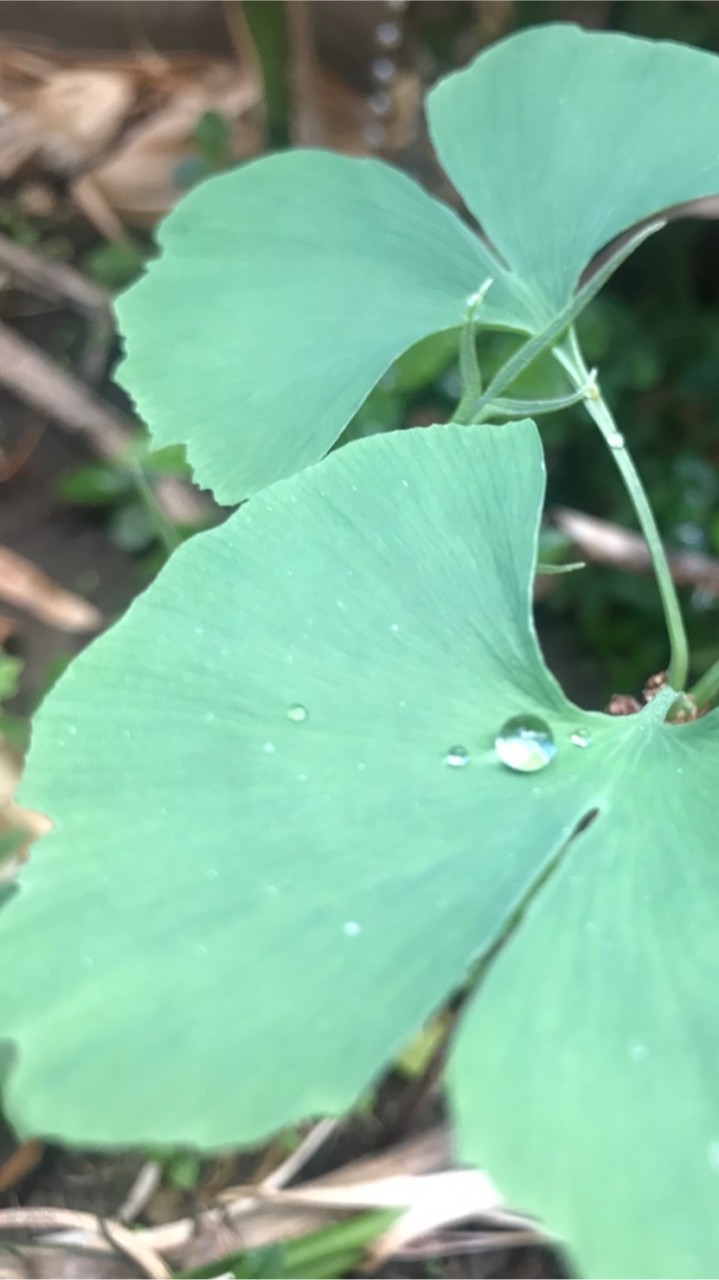 我愛中醫，中醫讓我更健康