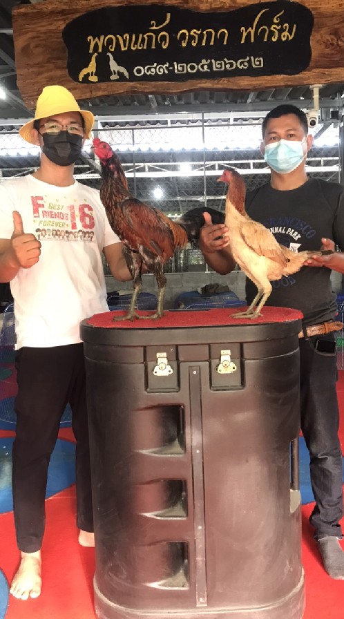 ซุ้มหนุ่มอุทัยไก่ชน