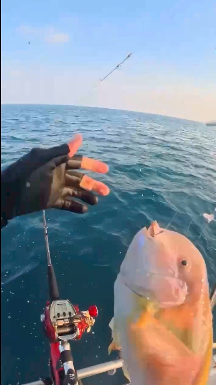 小李海釣鮮魚舖