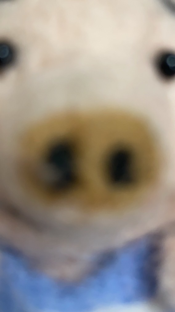 。