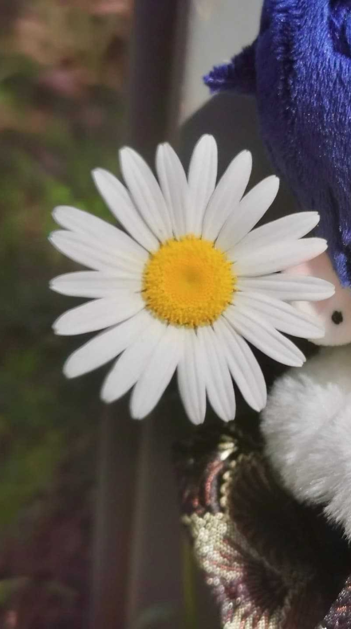 RabbizTy'Doll