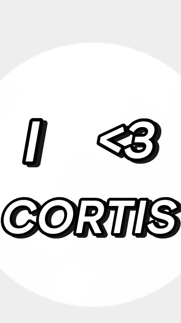 彤のCORTIS應援小物