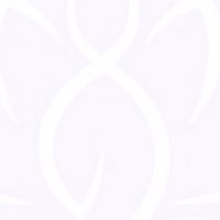 七秒魚的舞碼（高肚+阿拉伯）