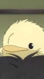 章魚燒東京代購