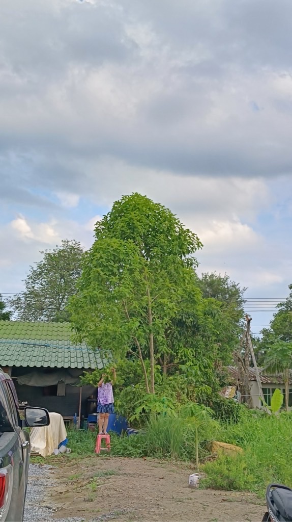 ลาออกมาใช้ชีวิต