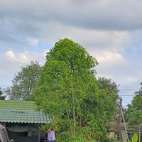 ลาออกมาใช้ชีวิต