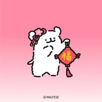 皇普地下室