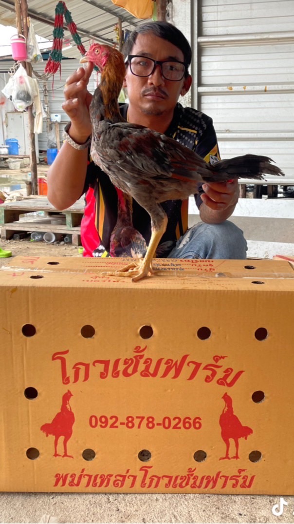 ซุ้มช่างต่อ ส.ราชัญ