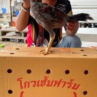 ซุ้มช่างต่อ ส.ราชัญ